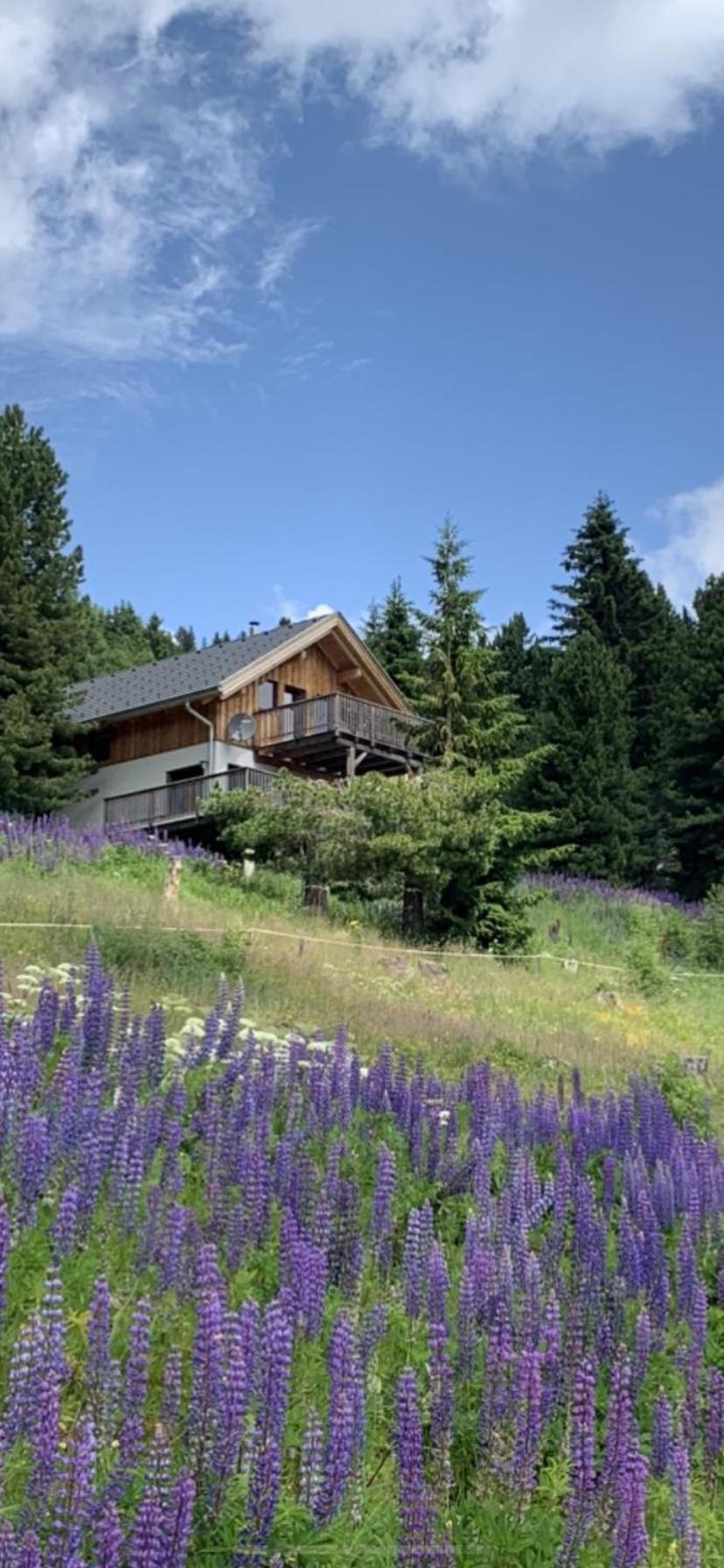 Chalet Claassen Turracher Hohe Exterior foto